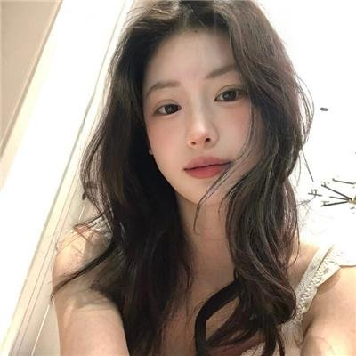 燕子盗